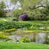 A pond with lilypads surrounded by gardens and a bike path